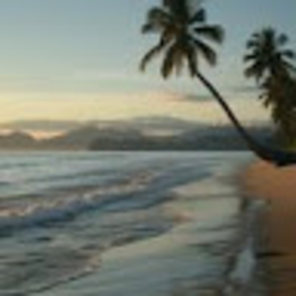 Meet your Posher, Winnie